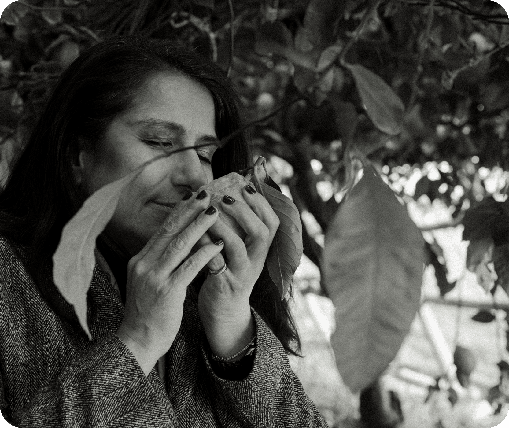 Anik - Lemon Enthusiast