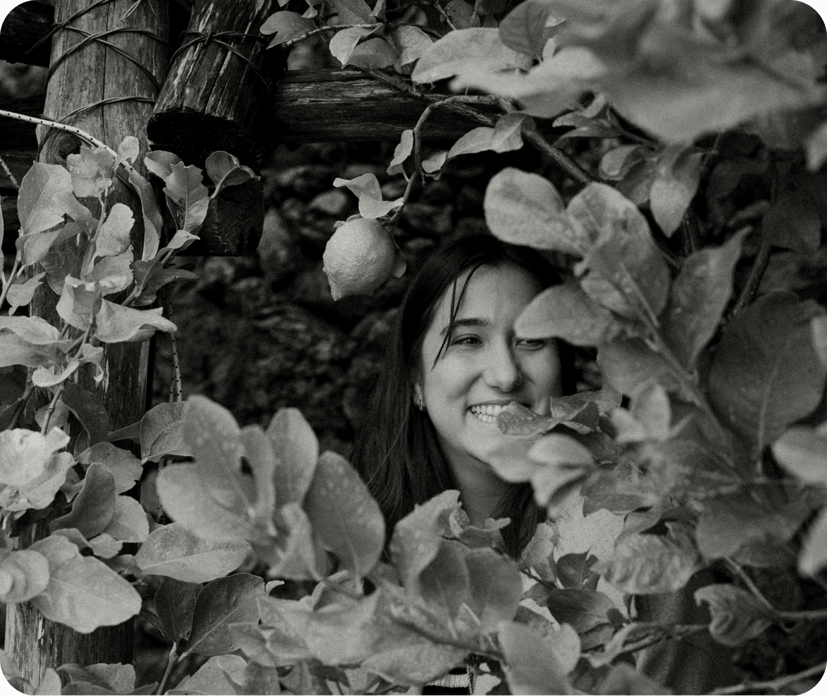 Sophie - Head Lemoneer