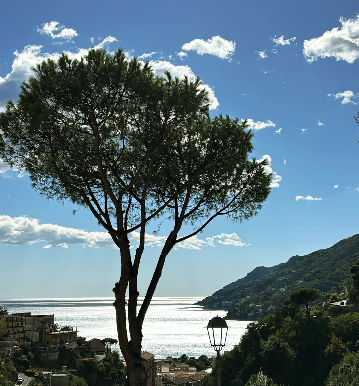 Sorrento Lemon IGP cover image