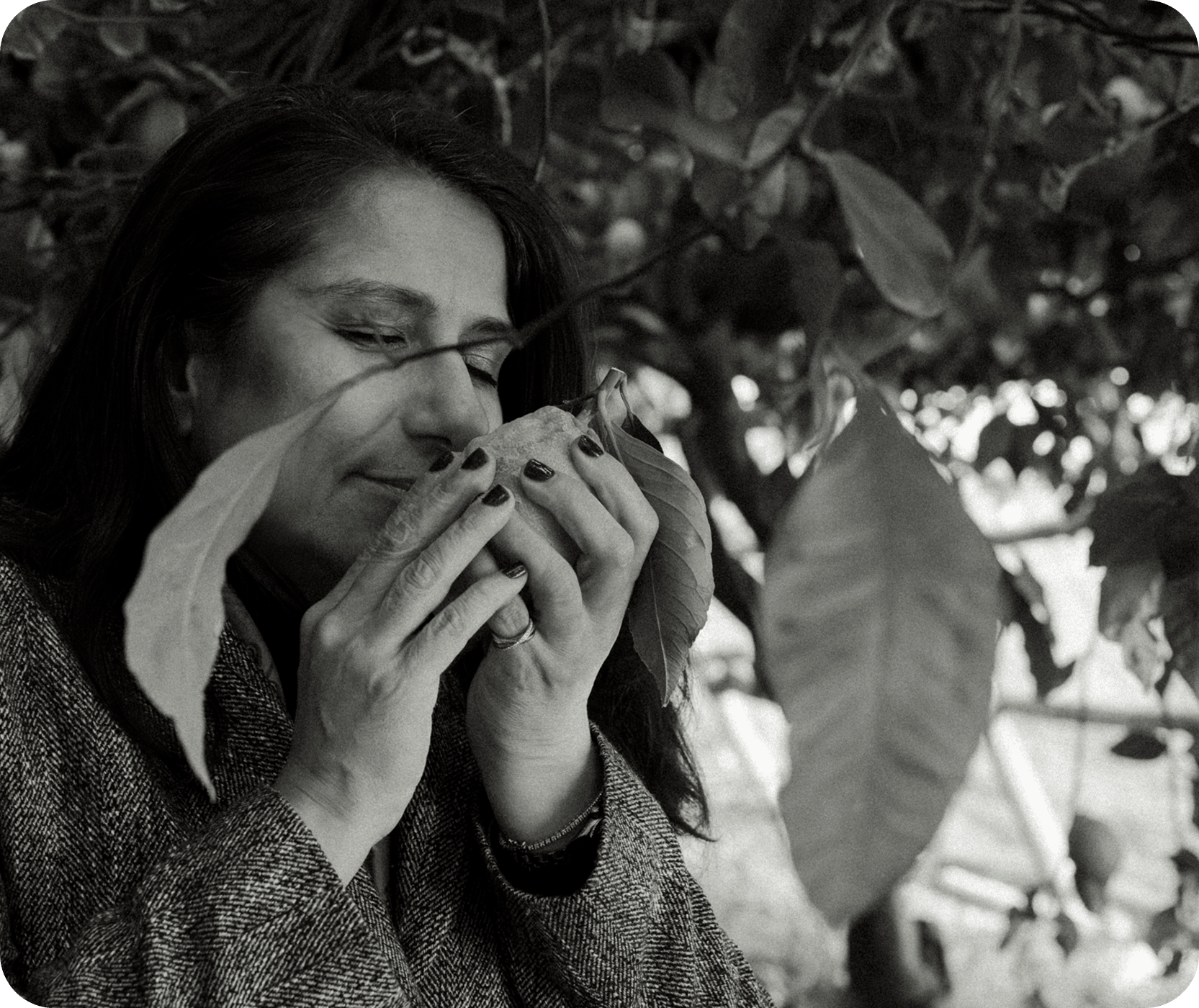 Anik - Lemon Enthusiast